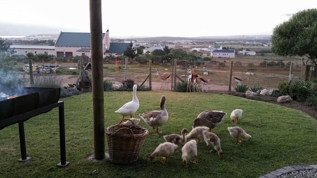 לאנגבאן The Stables Accommodation חדר תמונה